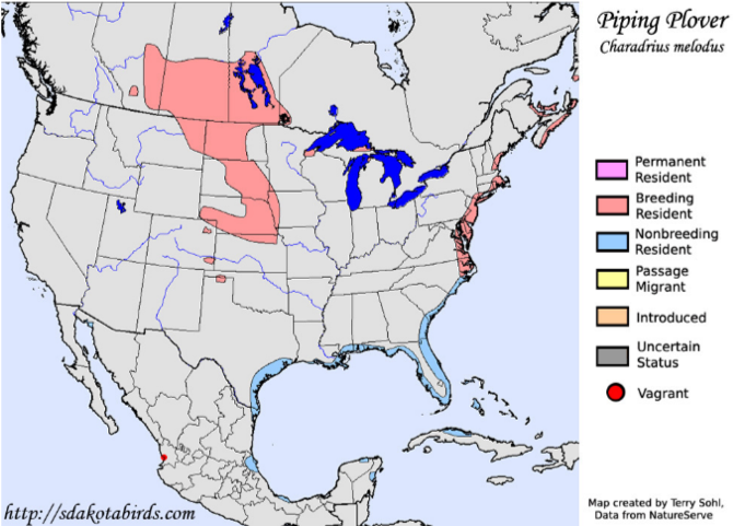 Map of Piping Plover Range