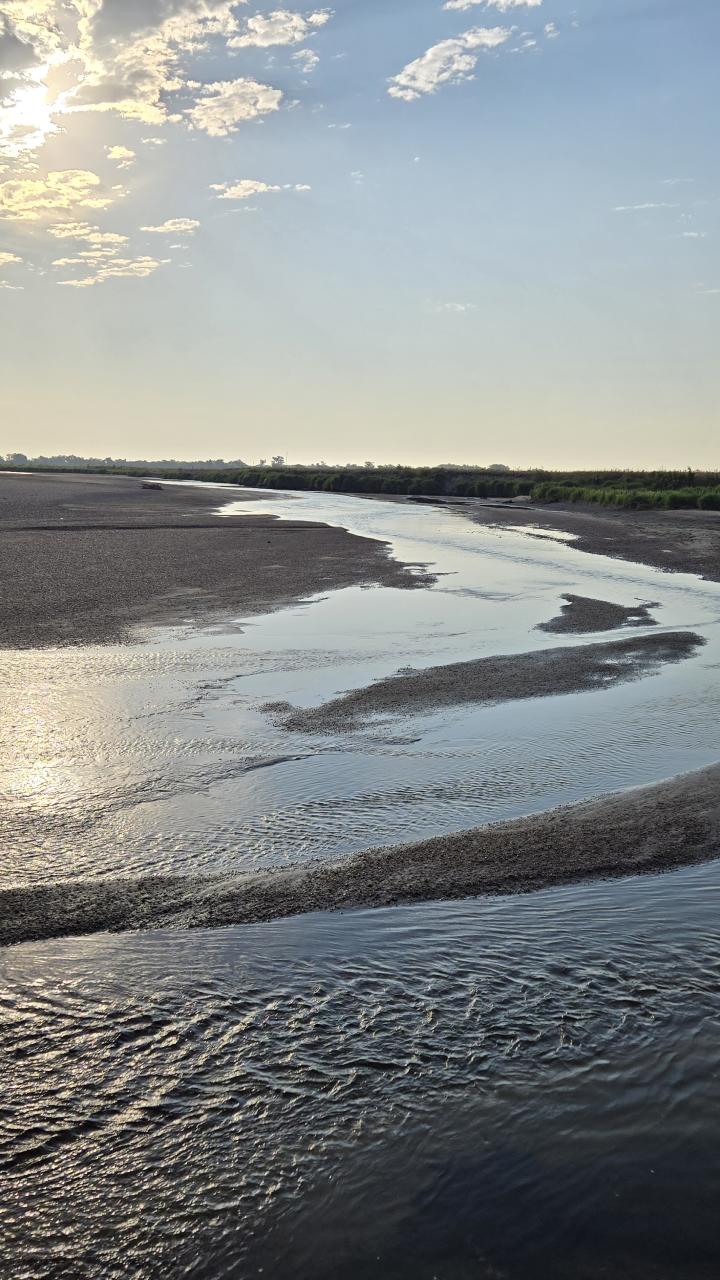Shallow braided channels lit by morning sun on the Platte River.
