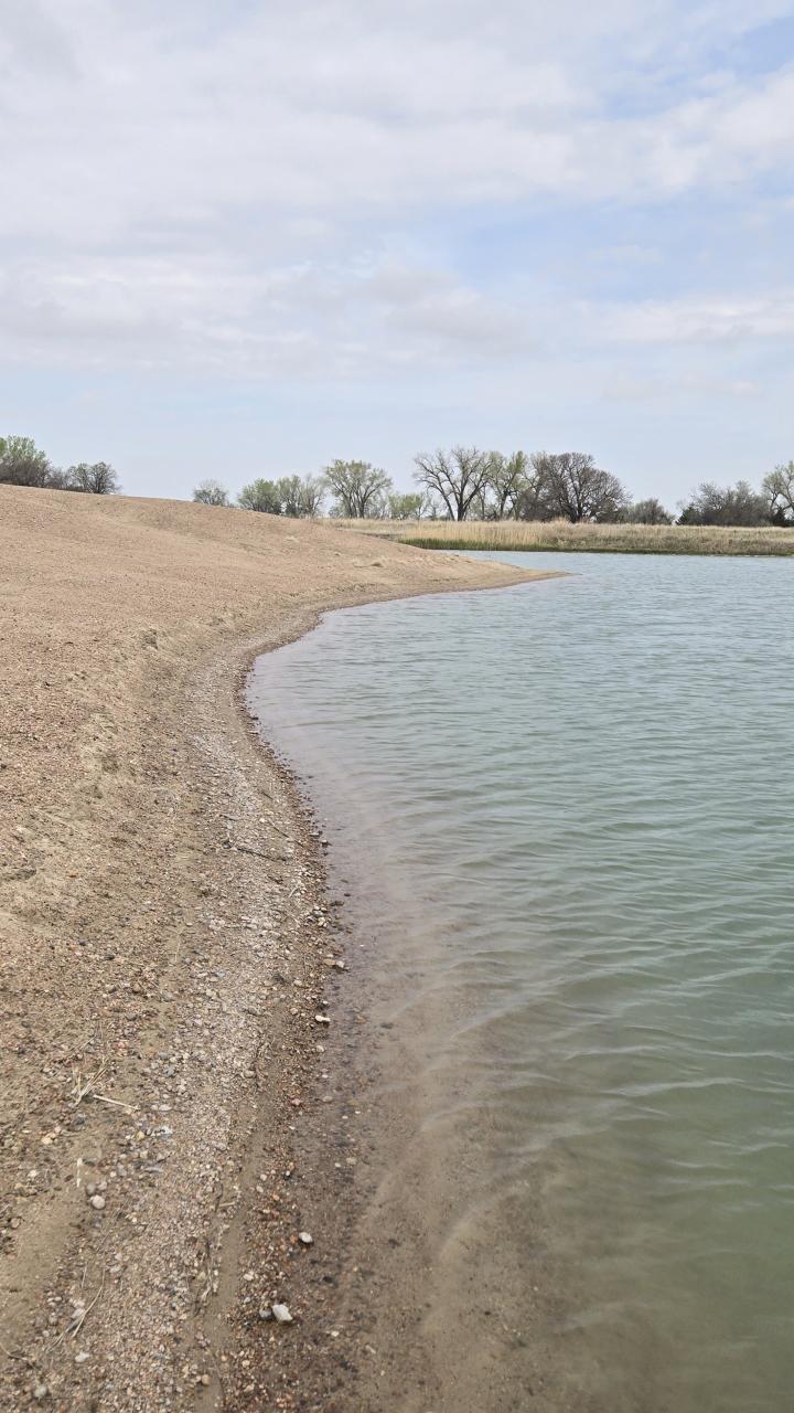 View of a gently sloped sandy shoreline curving around a calm off-channel basin, with trees and cloudy sky in the background at Cottonwood Ranch in Nebraska.