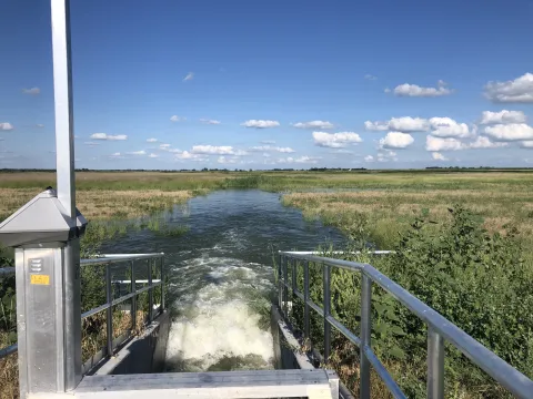 Water released from a metal control gate spreads across a grassy wetland under a blue sky.
