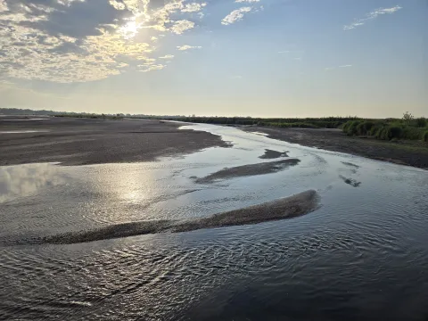 Shallow braided channels lit by morning sun on the Platte River.