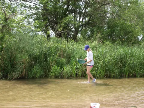 Student walking through shallow water with a sampling net.