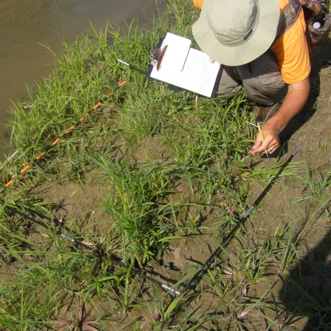 Image of research contractor