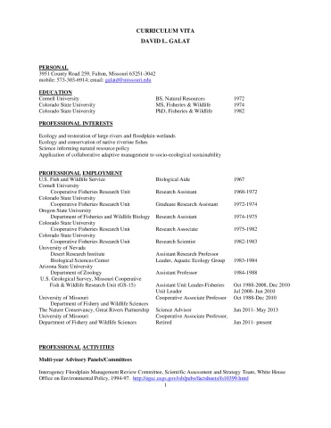 David Galat CV