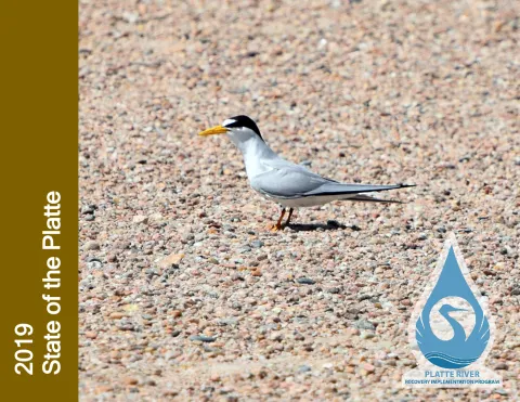 2019 Final State of the Platte Report