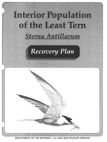 Interior Population of the Least Tern (Sterna Antillarum) Recovery Plan