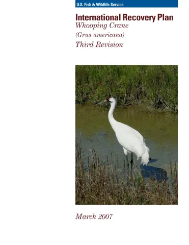 International Recovery Plan for the Whooping Crane (Grus americana) (Third Revision)