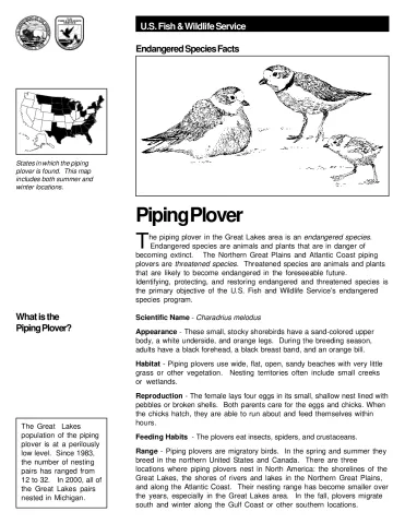 USFWS Piping Plover Fact Sheet.pdf