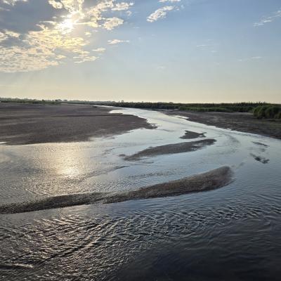 Shallow braided channels lit by morning sun on the Platte River.