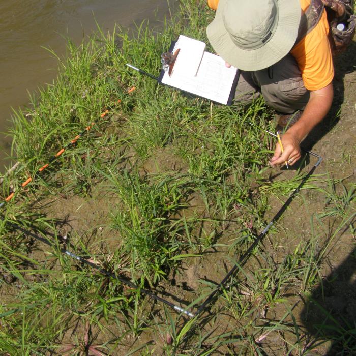 Image of research contractor