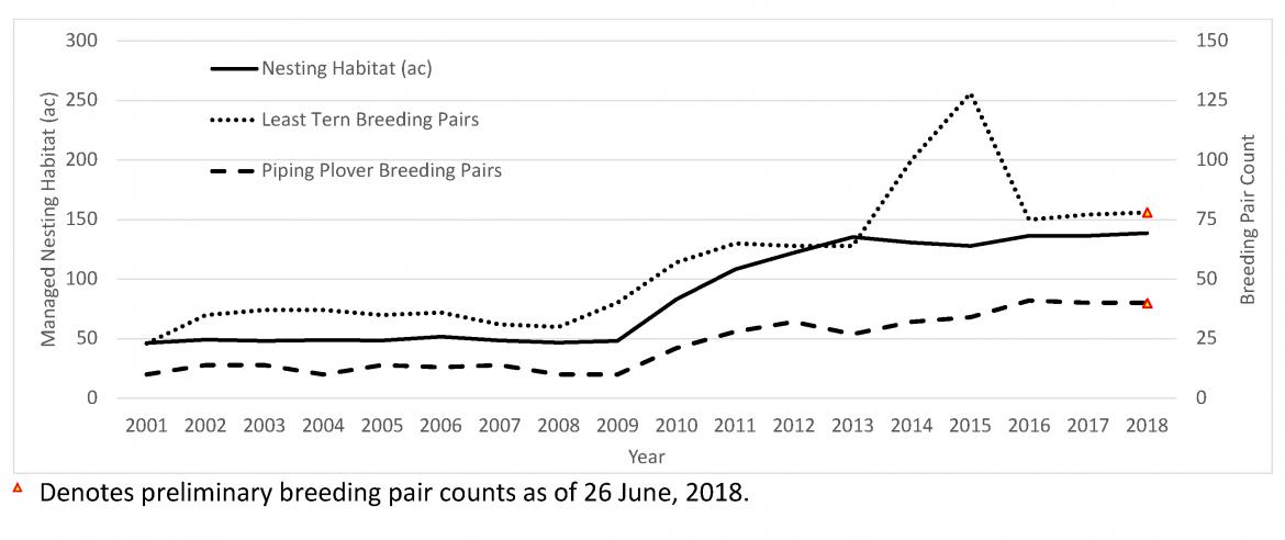 Least tern and piping plover breeding pair graph